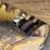 2020-caterpillar-299d3-image-15