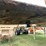 #1004-•-midland-belly-dump-(wagon-mound,-nm)-(nm-title)-image-30