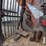 2015-doosan-dx180-lc-3-image-12