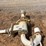 metpro-water-pump-image-3