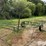 irrigation-pipe-trailer-image-5