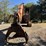 doosan-dx225-ll-image-8