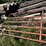 4x-gates-image-2