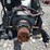#80-•-#26460-•-2020-jcb-444-tcae-97-4-cyl-power-unit-image-5