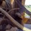 deere-544kii-image-19