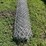 approx-16ft-of-metal-chain-fence-image-2