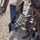 caretree-tree-spade-image-9