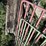 4x-gates-image-13