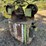 eagle-carriage-image-5
