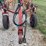 sitrex-wheel-rake-image-37
