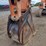 2015-doosan-dx180-lc-3-image-17
