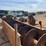 sand-screw-image-8