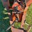 wetmore-400-bushel-grain-cart-image-11
