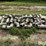 6”-irrigation-pipe-fittings-image-6