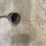 electric-pole-saw-image-4