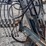caretree-tree-spade-image-10