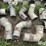 6”-irrigation-pipe-fittings-image-12