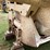 #1004-•-midland-belly-dump-(wagon-mound,-nm)-(nm-title)-image-22