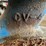 liquid-pump-with-electric-motor-image-9