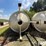meridian-bulk-seed/feed-bin-image-5