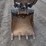 2021-bobcat-e50m-image-15