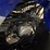 #114-•-2015-yamaha-rapter-90-quad-image-7