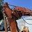 hitachi-ex60urg-image-26