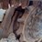 2020-bobcat-t595-image-22