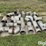 8"-irrigation-pipe-fittings-image-2