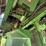 2006-john-deere-9760-sts-image-31