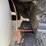 2006-international-durastar-4400-image-37