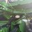 2009-john-deere-9770-sts-image-73