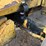 caterpillar-416d-image-17