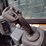 2023-deere-331g-image-9