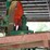 #128-•-mcdonough-5rh-linebar-resaw-image-10