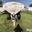 willmar-600-image-2