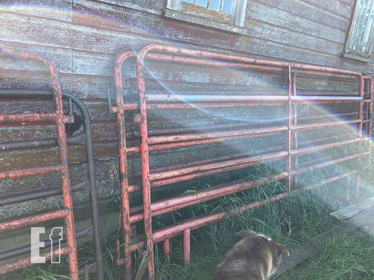 3x-10ft-and-2x-12ft-gates-image-1