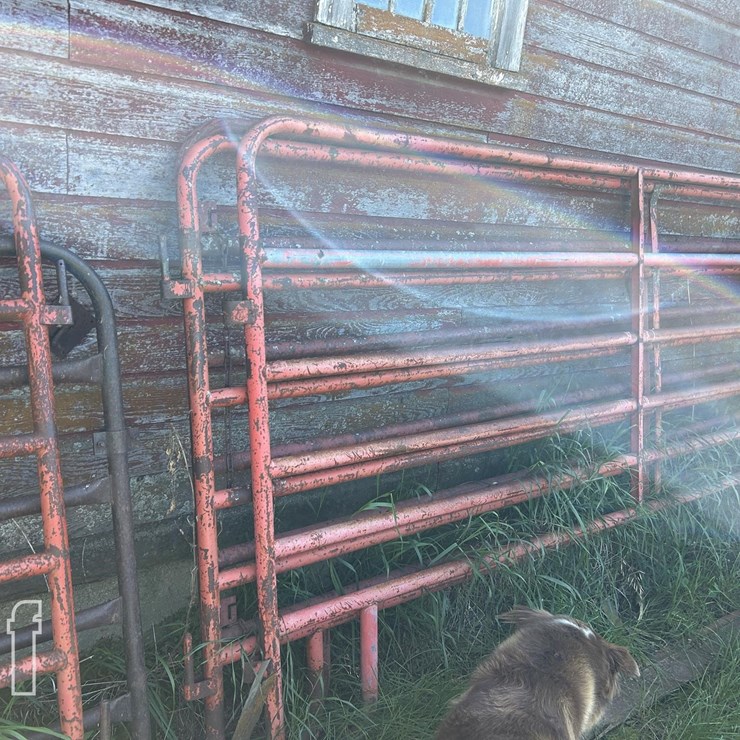 3X 10FT AND 2X 12FT GATES