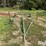 irrigation-pipe-trailer-image-2