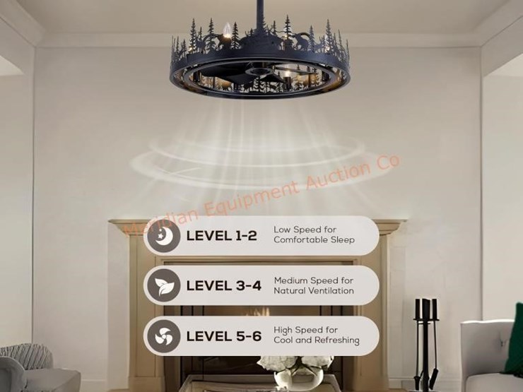 25''-farmhouse-ceiling-fan-with-light-image-3