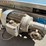 2017-wyma-csb012090-conveyor---syracuse,-ut-image-11