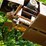 #152-•-cornell-barn-sweep-image-12