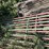 4x-gates-image-10