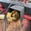 massey-ferguson-4010-image-12