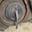 alamo-eagle-10-image-20