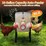 10-gal-large-automatic-chicken-feeder-image-5