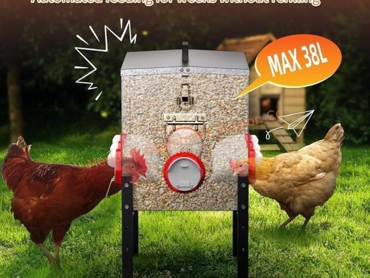 10-gal-large-automatic-chicken-feeder-image-5