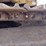 caterpillar-312-image-31