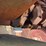 #110-•-mellott-rosserhead-debarker-image-18