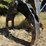 2013-deere-2954d-image-19